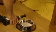 juicy nastyel Scene 3