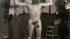 dominatrix-bitchtion