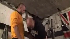 Bear cock sucking