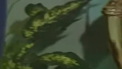 Rumble - Scene 4