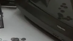 Couple fucked hard