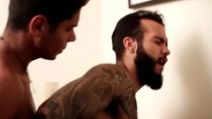 Bruno Matarazzo & Mauricio Callegiaria