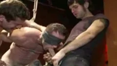 Finds irresistible tied up