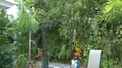 gulp My Seed - Scene three