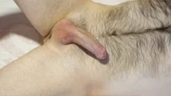 Hippy enjoys greatly loud sex