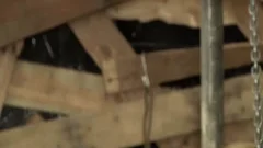 Dylan receives wazoo fucked