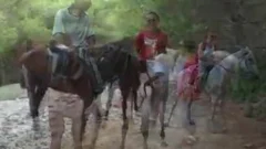 slaming In The Forest