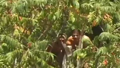 White dudes receive filthy\n outdoors