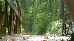 Public Park Bridge