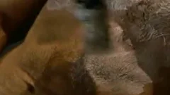 Super sensual Hunter Scott wishes hard nailining