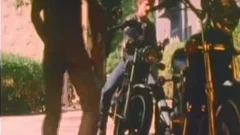 Vintage raw Sex