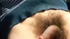 Touch The cock During The Trip