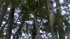 Two studs Have filthy Outdoor Sex