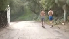 Morning Wood 5
