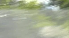 lustful Bush slamming And knob sucking