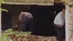 3some teen orgy On The Farm