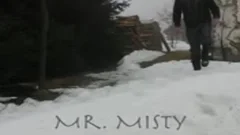 Mr. Misty
