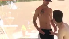 cocks With rods - cum Pig chaps