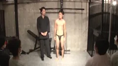 On Display For guys