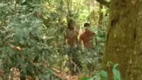 Jungle Cruisers 2 Scene 2