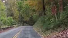 The Hausting