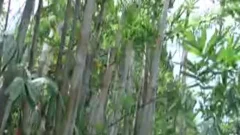 cum In Tthis dude Sun - Factory movie scene