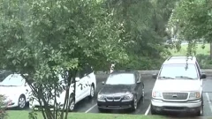 black pooper cum overspread