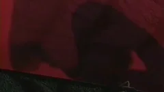 Sex In A Tent