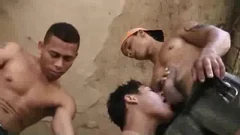 3 No Mato