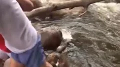 Latino guy Gives bj And Jacks Off In A Stream outside