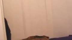 Safado