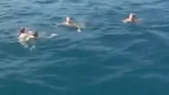 Fick-Yacht