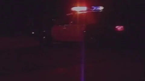 lusty Cops