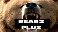 Bears Plus