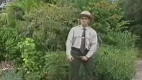 drilling The Park Ranger
