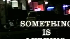 Latino Nights - Scene 2 - howdyS movie scene