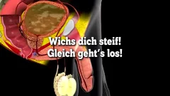 Poppers Wichs two (German Straight Poppers Trainer)