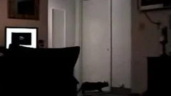 Secret