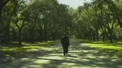 The Servant