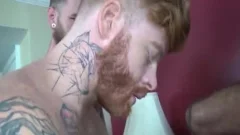 Groupsex / fuckfest