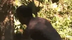 Latin pair Safe Outdoor fuck