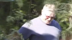 Cyberbears - Backyard Bears