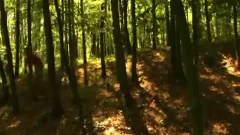 kinky Bikers nailing In A Wood