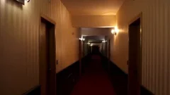 Sodomizing