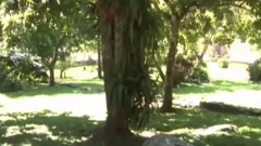 teen (18+) cum Guzzled Outside