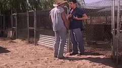 Farm Daddy And His teen