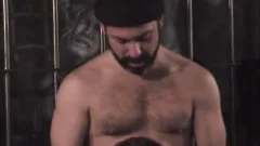 gay Sex villein 0572