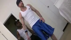PAU MONSTRO