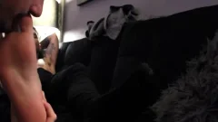 sleazy Tatted fellow With admirable Feet acquires Worshiped And Cums