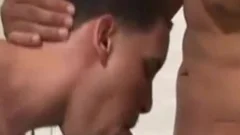 large Latino Muscle rod